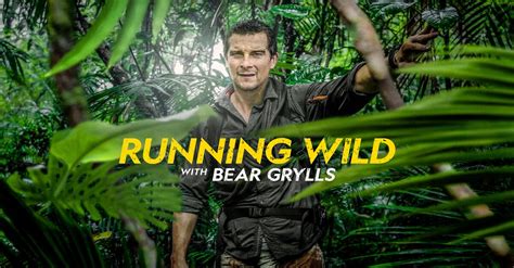 survival games with bear grylls time slot in tlc|Bear Grylls TV Shows and Appearances .